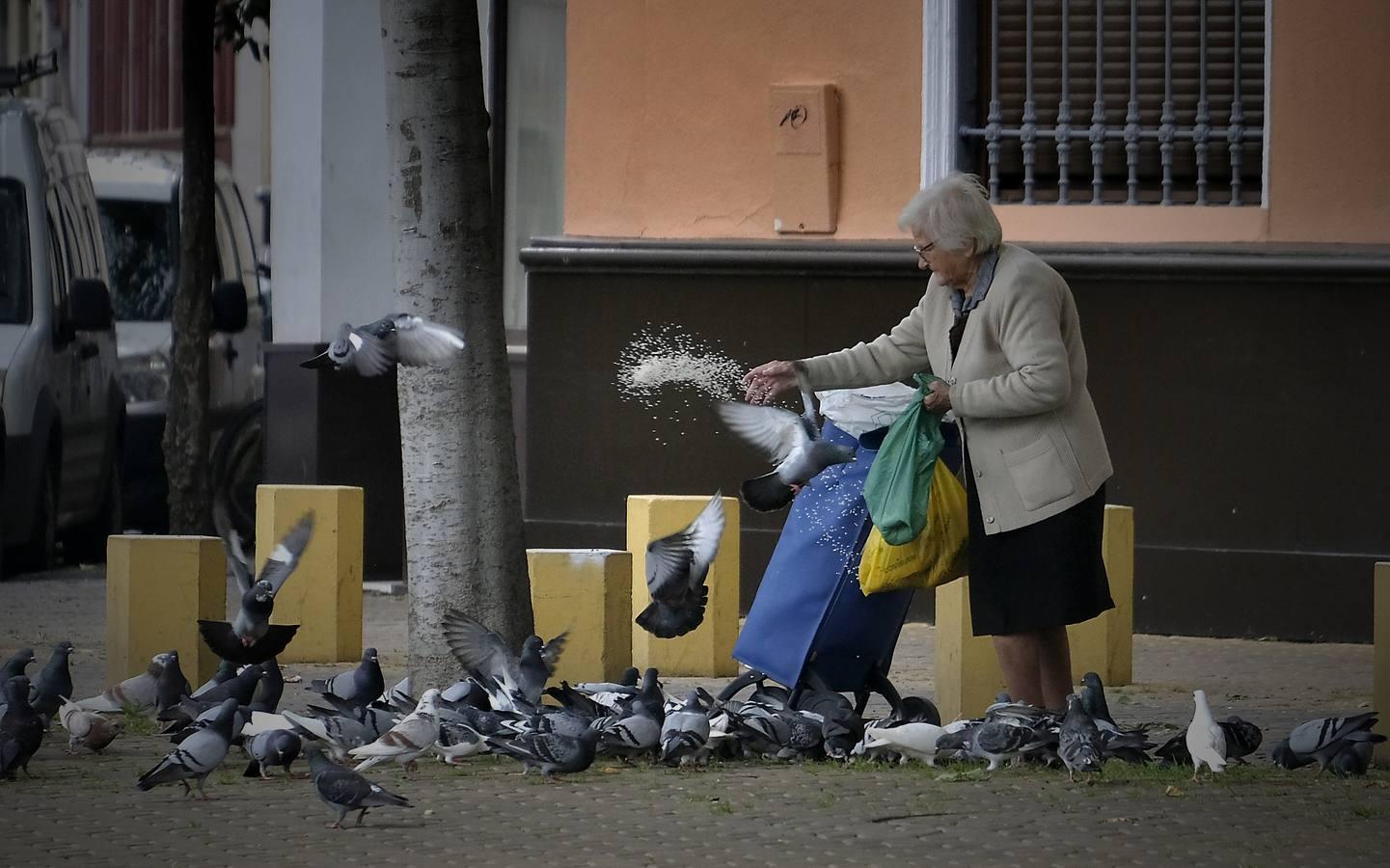 Pasea por Sevilla sin salir de casa