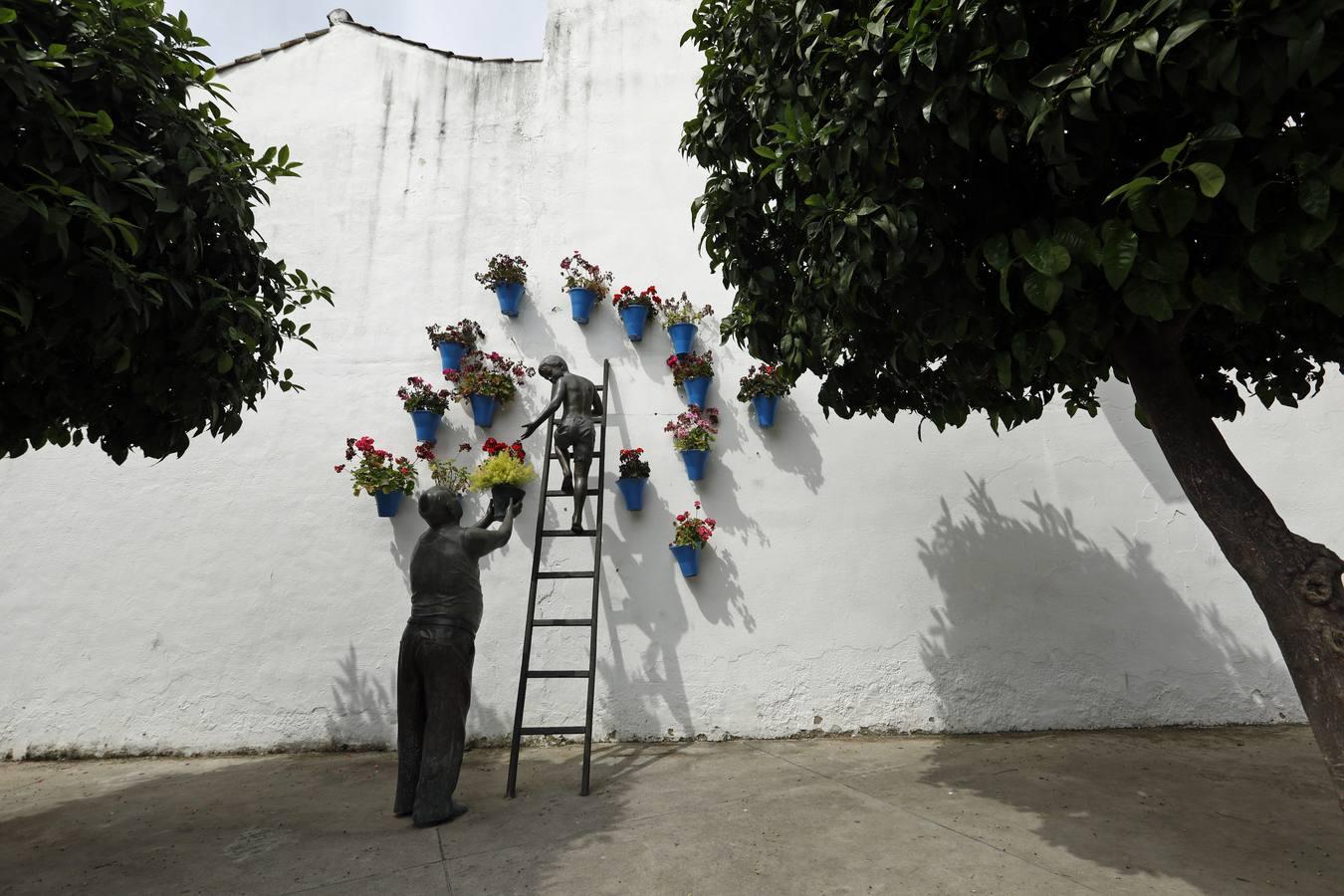 Los Patios de Córdoba florecen a puerta cerrada, en imágenes