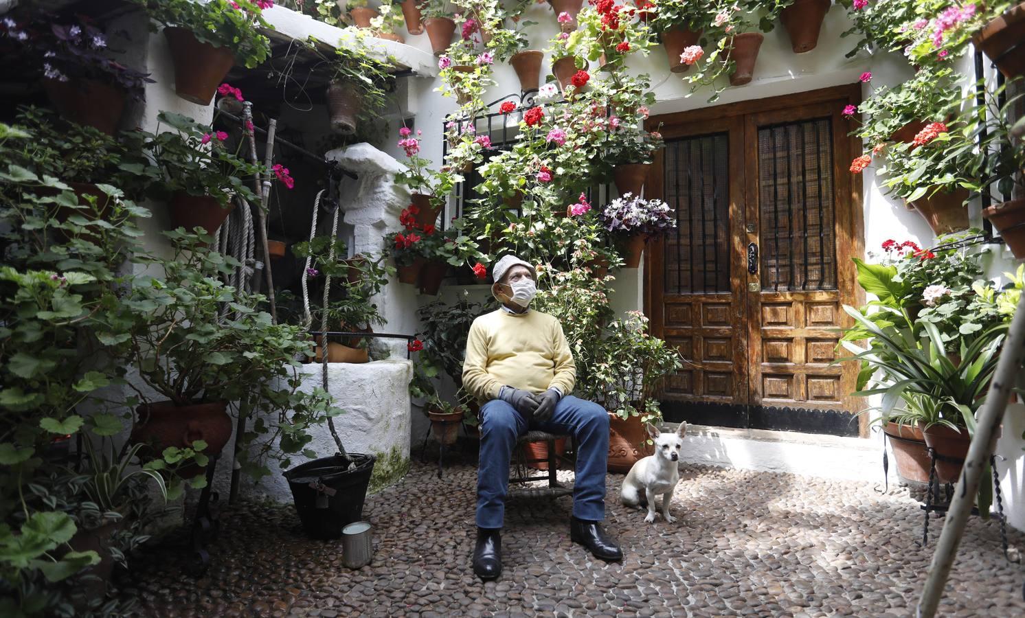 Los Patios de Córdoba florecen a puerta cerrada, en imágenes