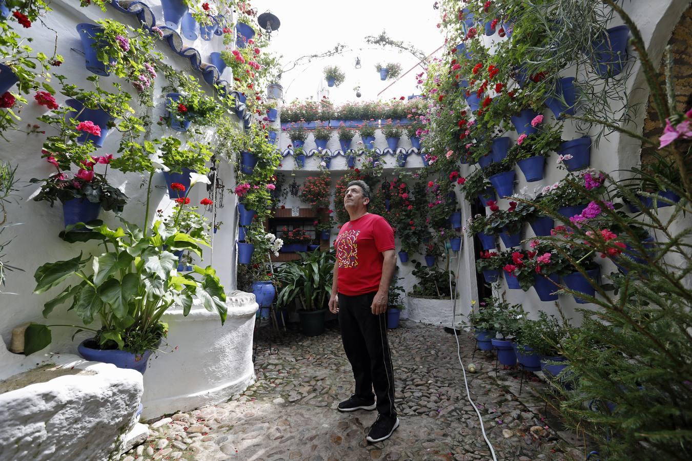 Los Patios de Córdoba florecen a puerta cerrada, en imágenes