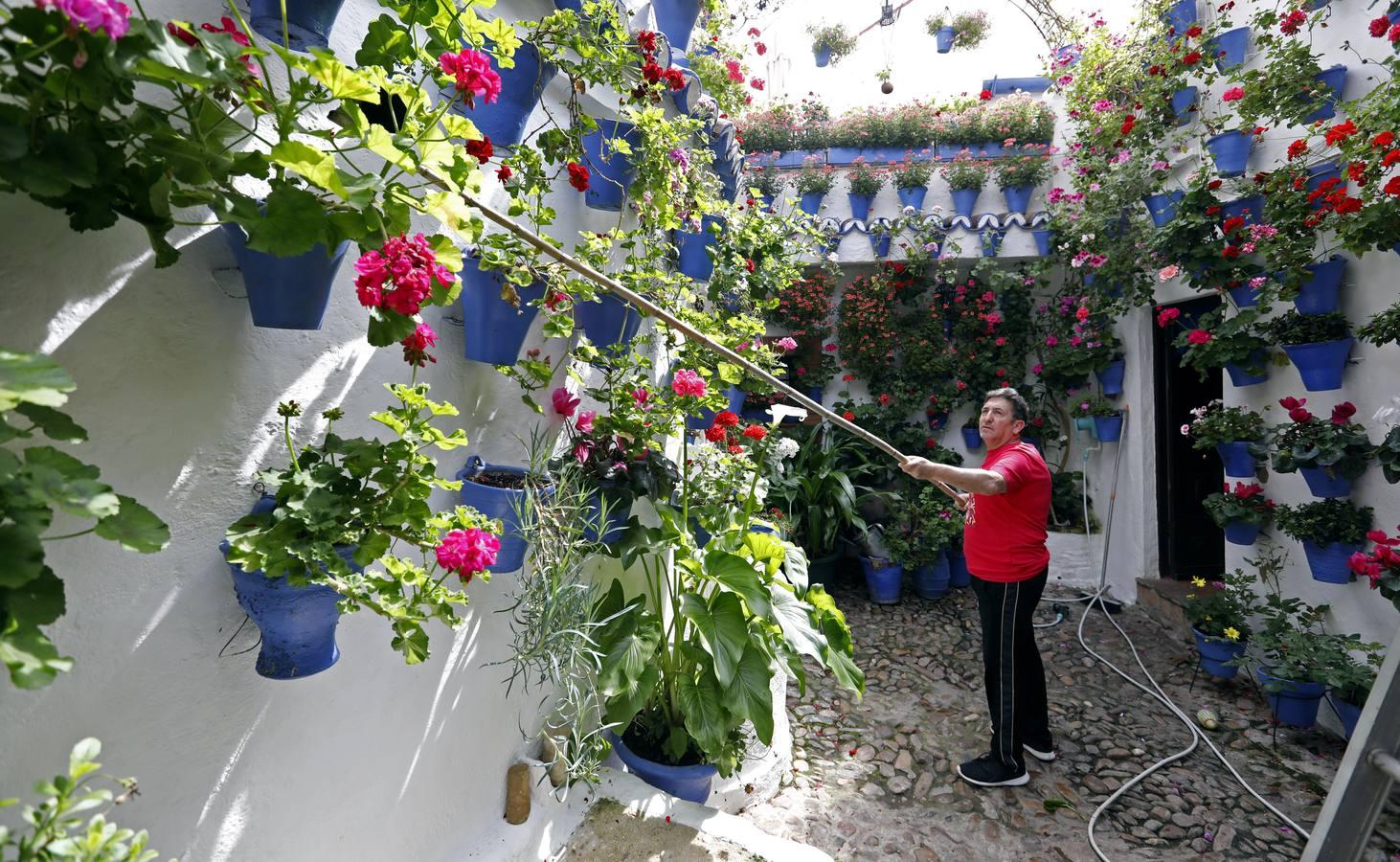 Los Patios de Córdoba florecen a puerta cerrada, en imágenes