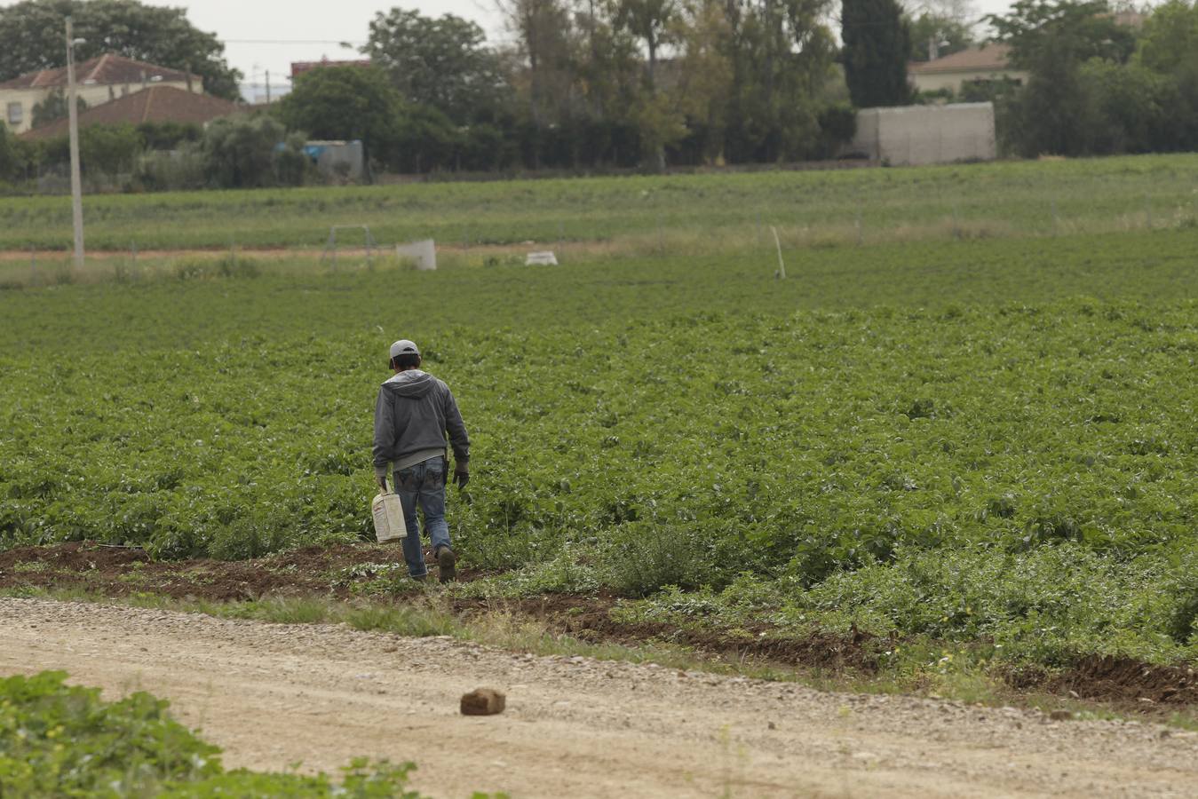 Coronavirus en Sevilla: así vive se vive el confinamiento en la barriada de El Gordillo