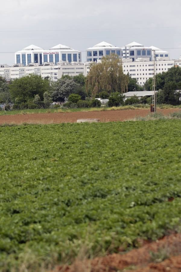 Coronavirus en Sevilla: así vive se vive el confinamiento en la barriada de El Gordillo