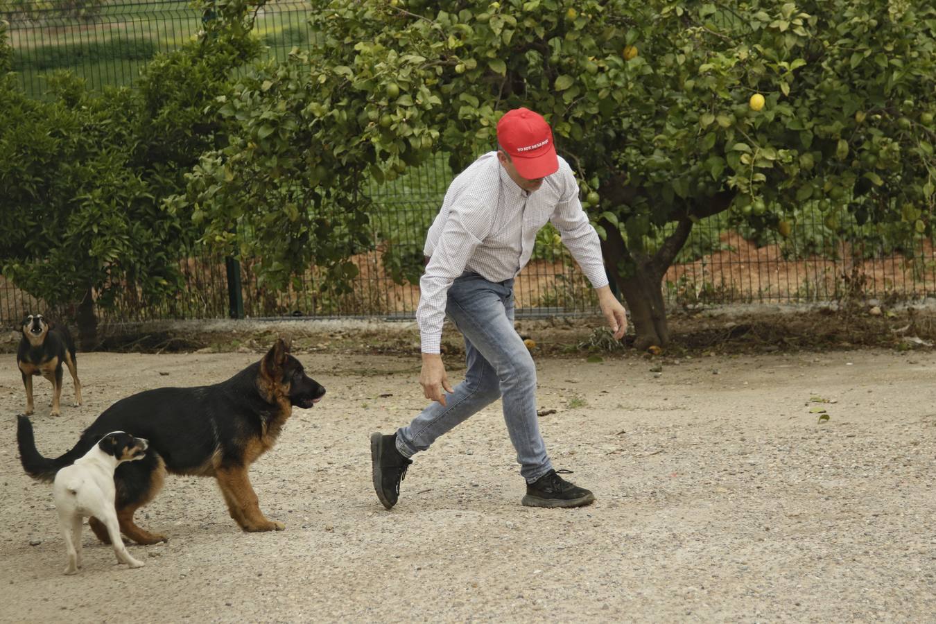 Coronavirus en Sevilla: así vive se vive el confinamiento en la barriada de El Gordillo