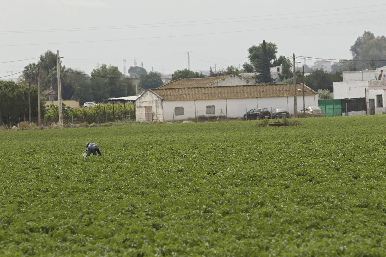 Coronavirus en Sevilla: así vive se vive el confinamiento en la barriada de El Gordillo