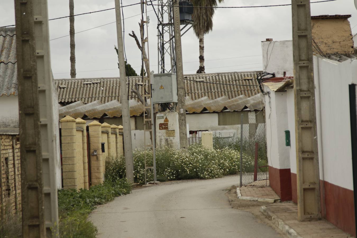 Coronavirus en Sevilla: así vive se vive el confinamiento en la barriada de El Gordillo