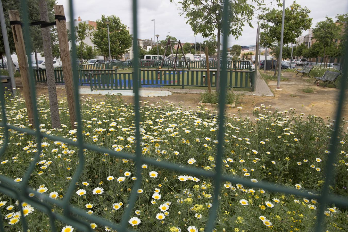 Coronavirus en Sevilla: así se vive en Valdezorras el confinamiento