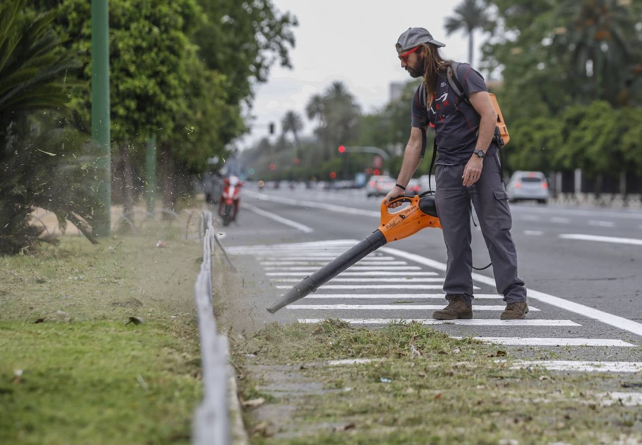 El cuidado de los parques y jardines de Sevilla no se detiene