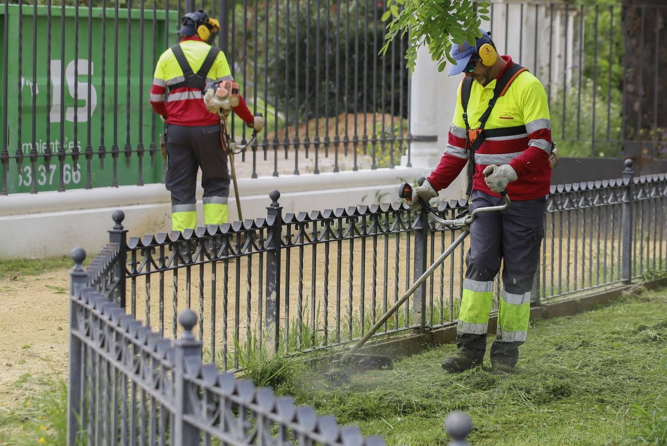 El cuidado de los parques y jardines de Sevilla no se detiene