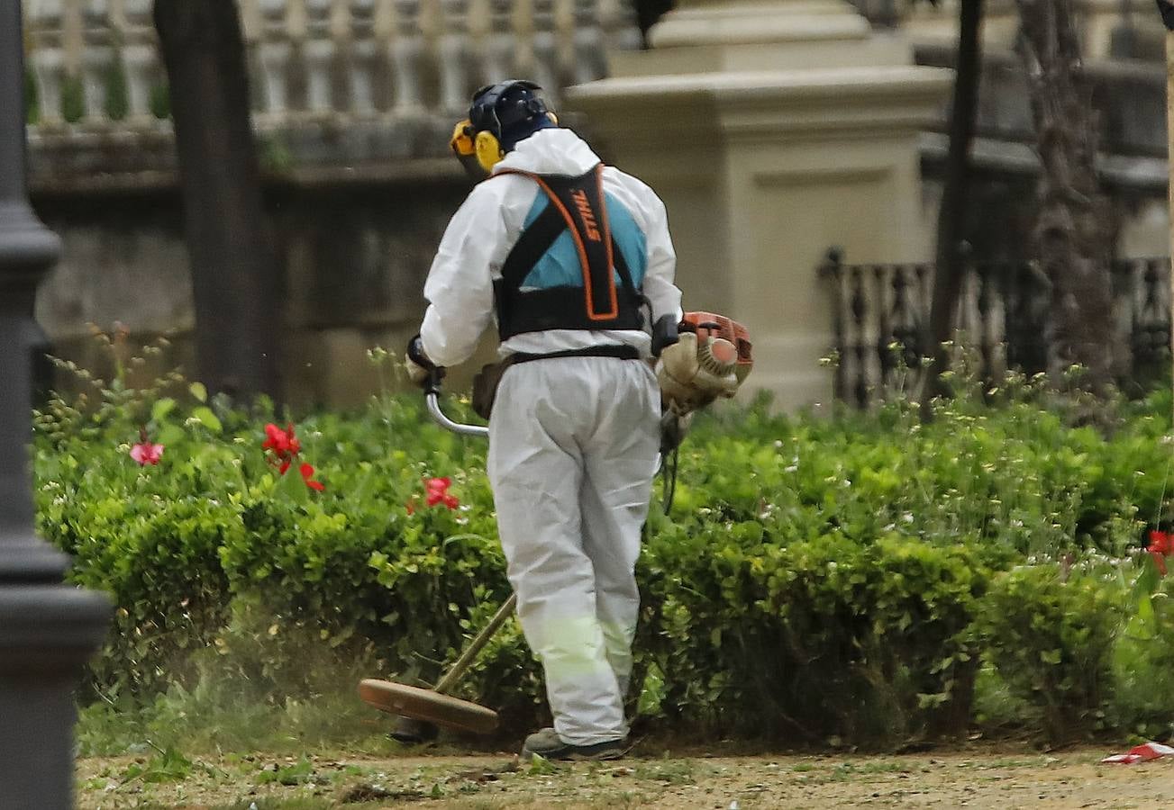 El cuidado de los parques y jardines de Sevilla no se detiene