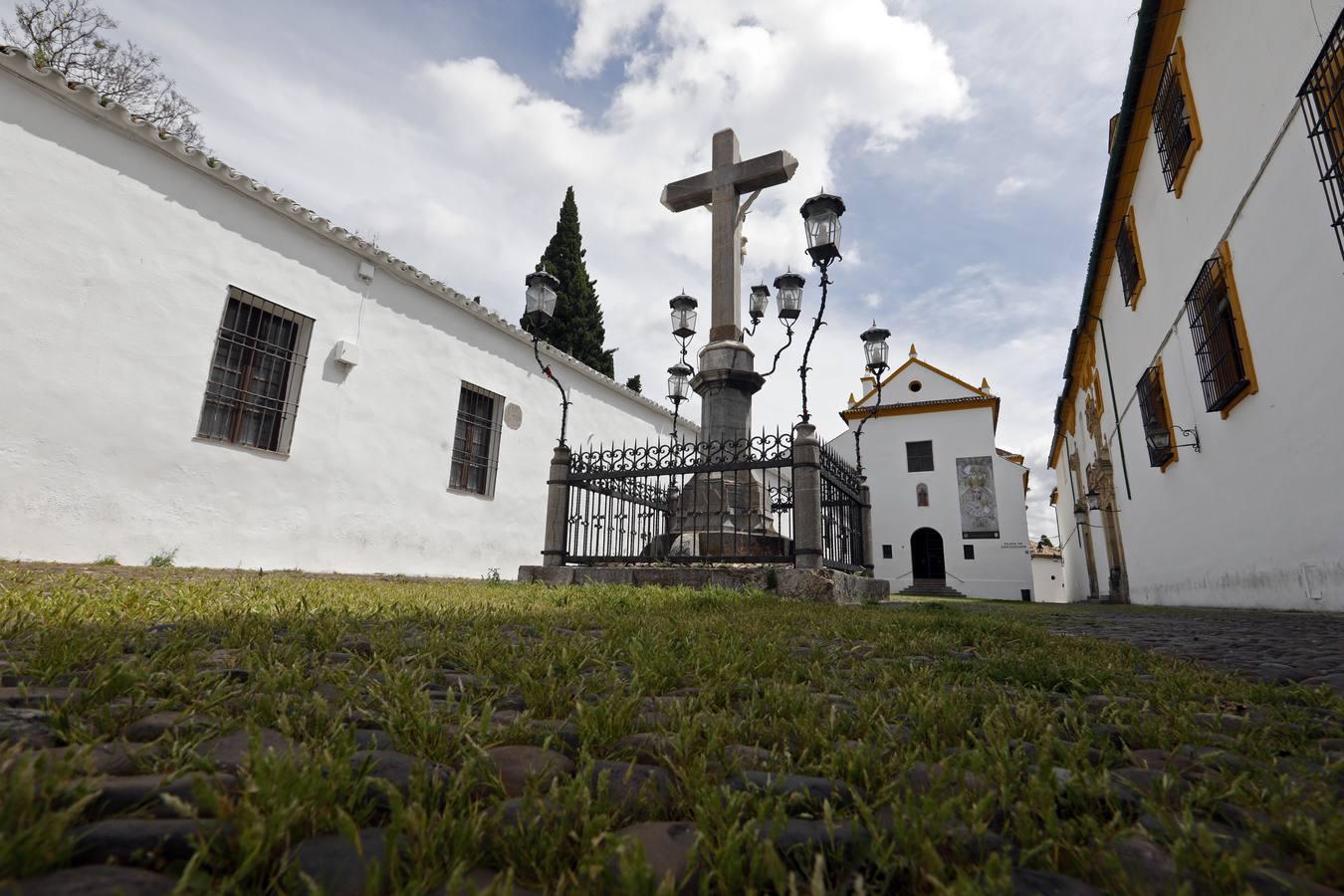 El poético tapete verde de la plaza de Capuchinos de Córdoba, en imágenes