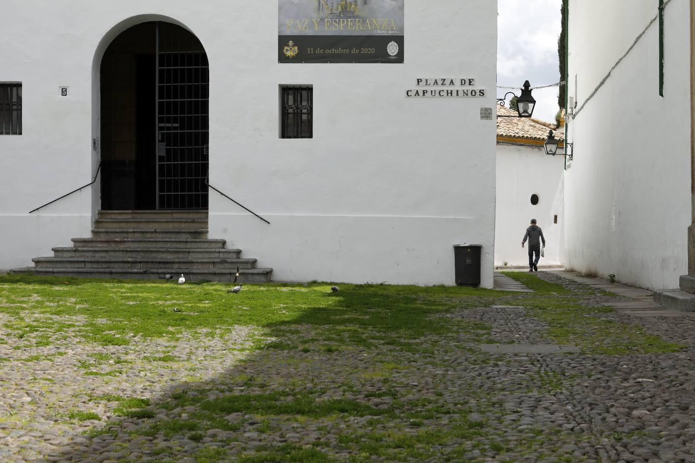 El poético tapete verde de la plaza de Capuchinos de Córdoba, en imágenes