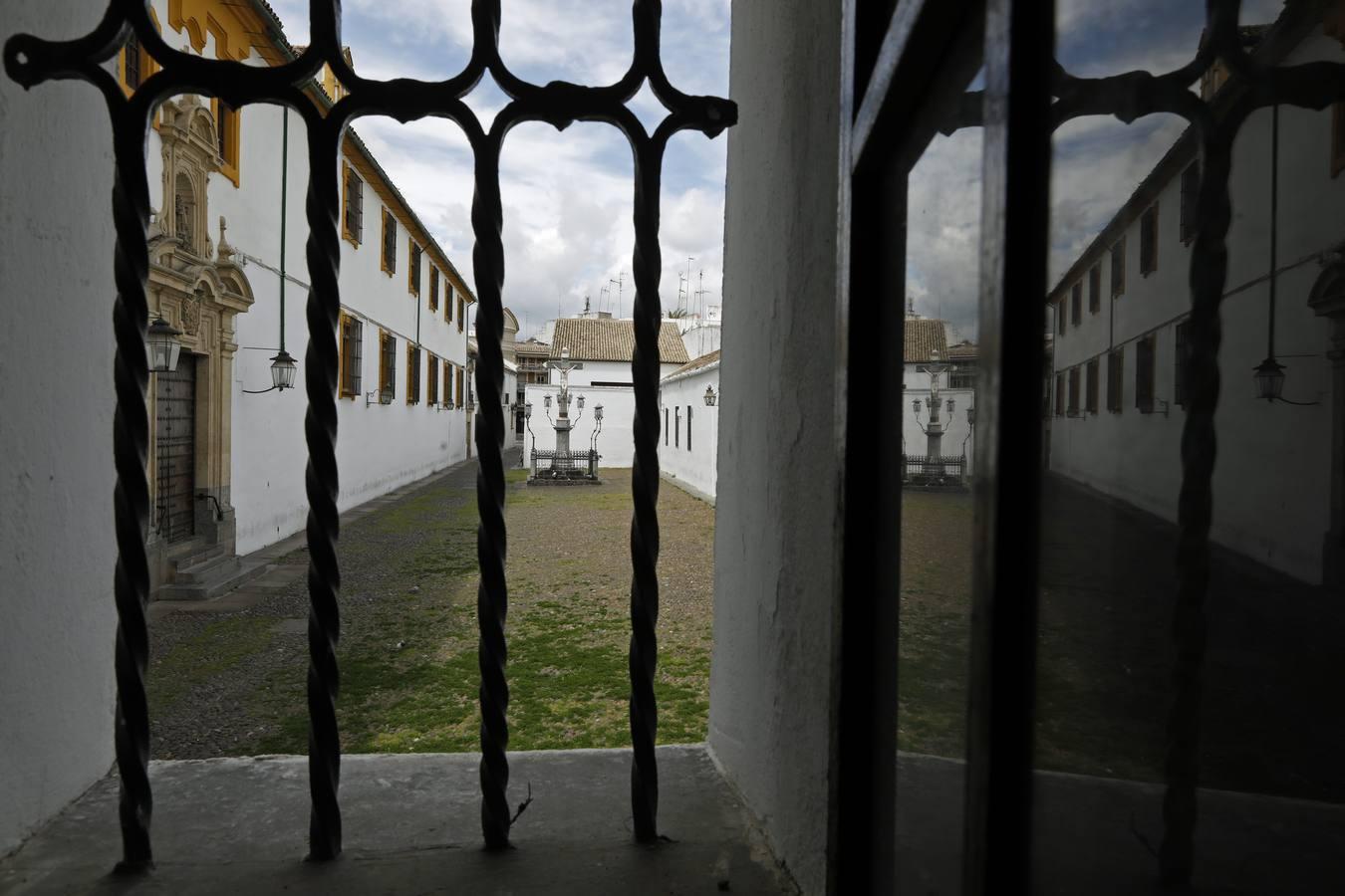 El poético tapete verde de la plaza de Capuchinos de Córdoba, en imágenes