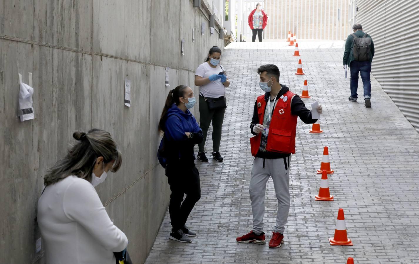 El reparto de vales de alimentos de Cruz Roja de Córdoba, en imágenes