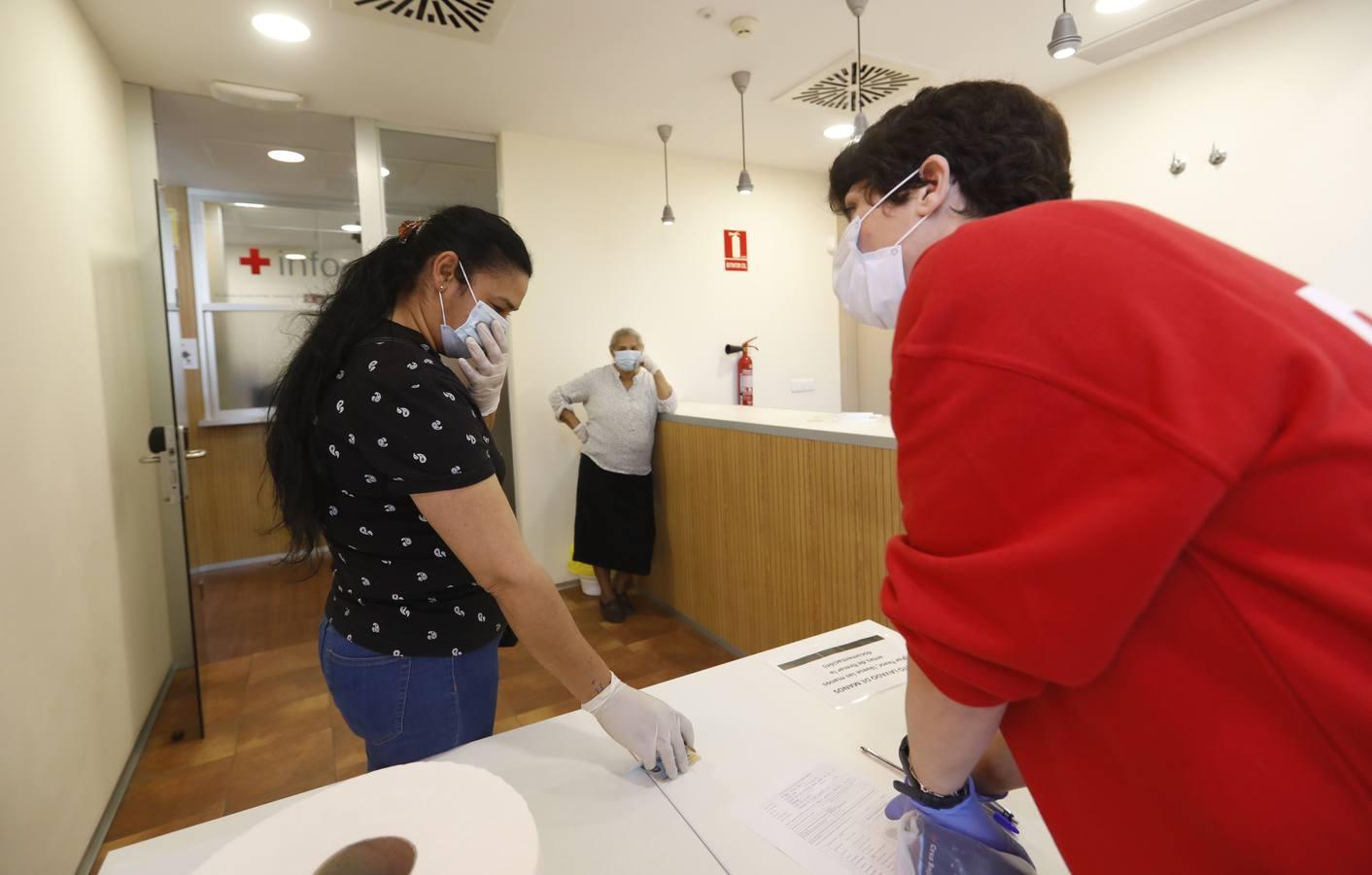 El reparto de vales de alimentos de Cruz Roja de Córdoba, en imágenes