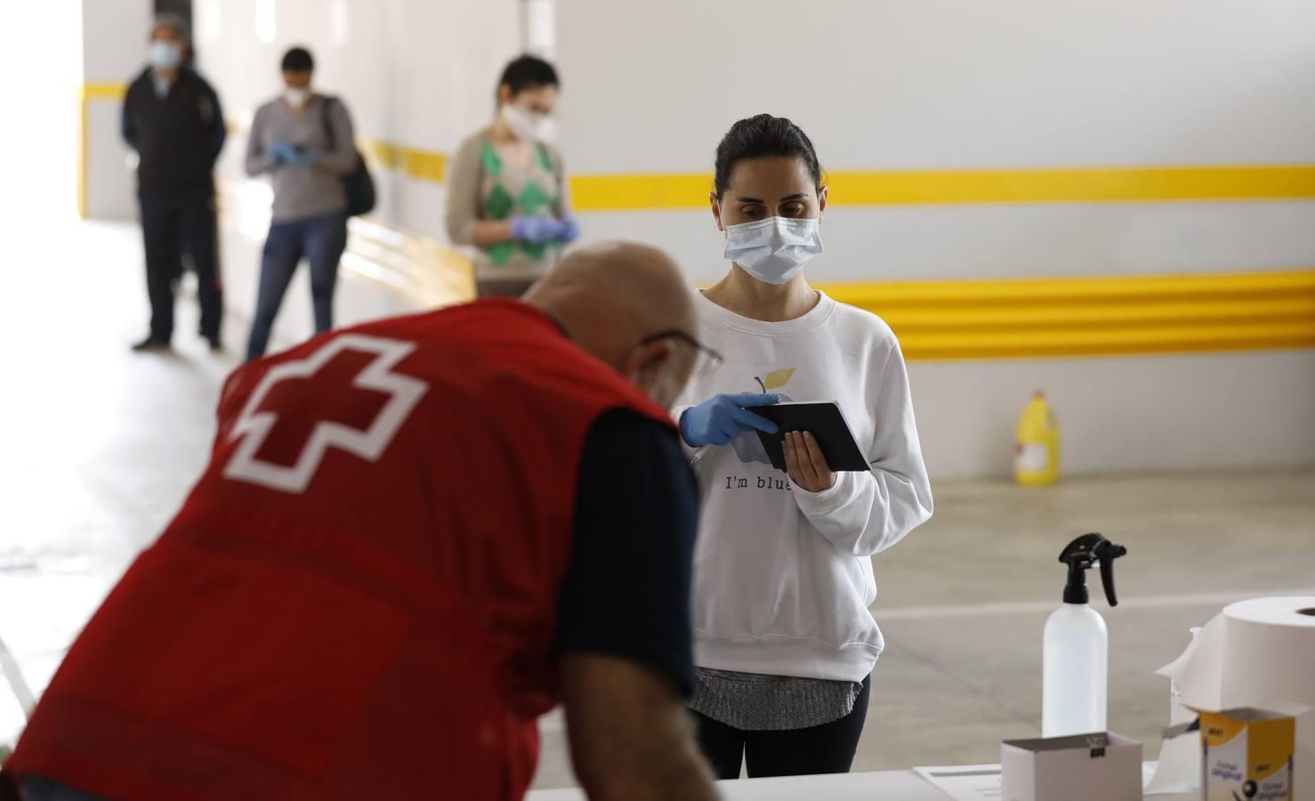 El reparto de vales de alimentos de Cruz Roja de Córdoba, en imágenes