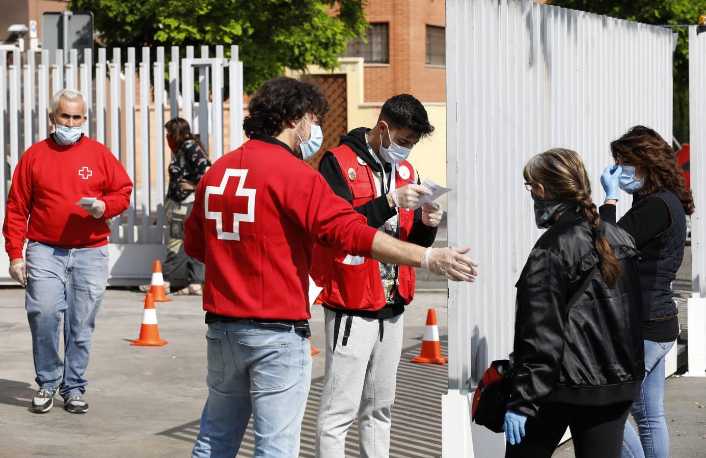 El reparto de vales de alimentos de Cruz Roja de Córdoba, en imágenes