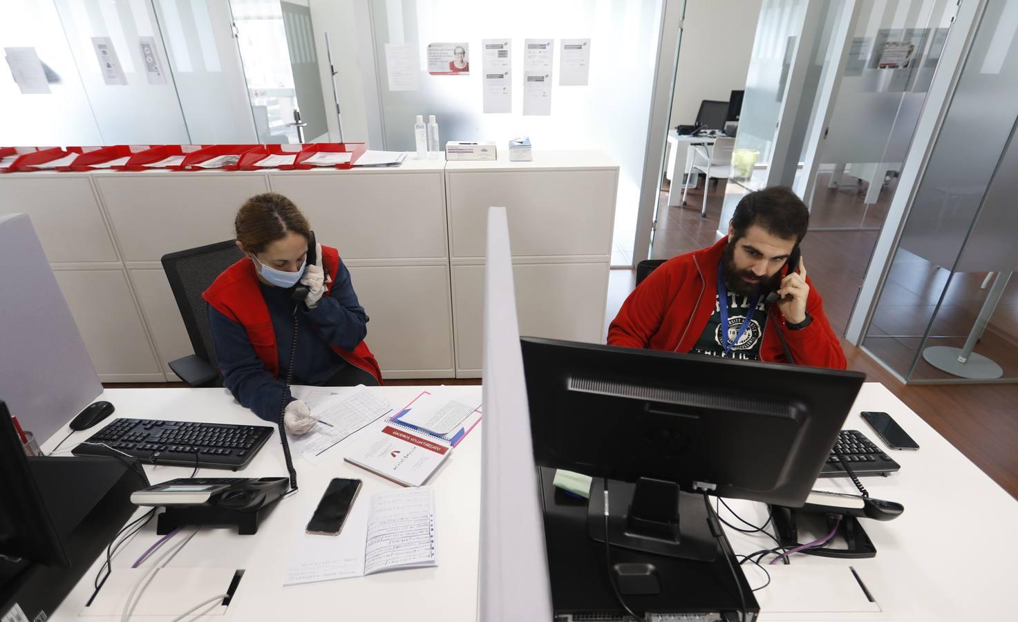 El reparto de vales de alimentos de Cruz Roja de Córdoba, en imágenes