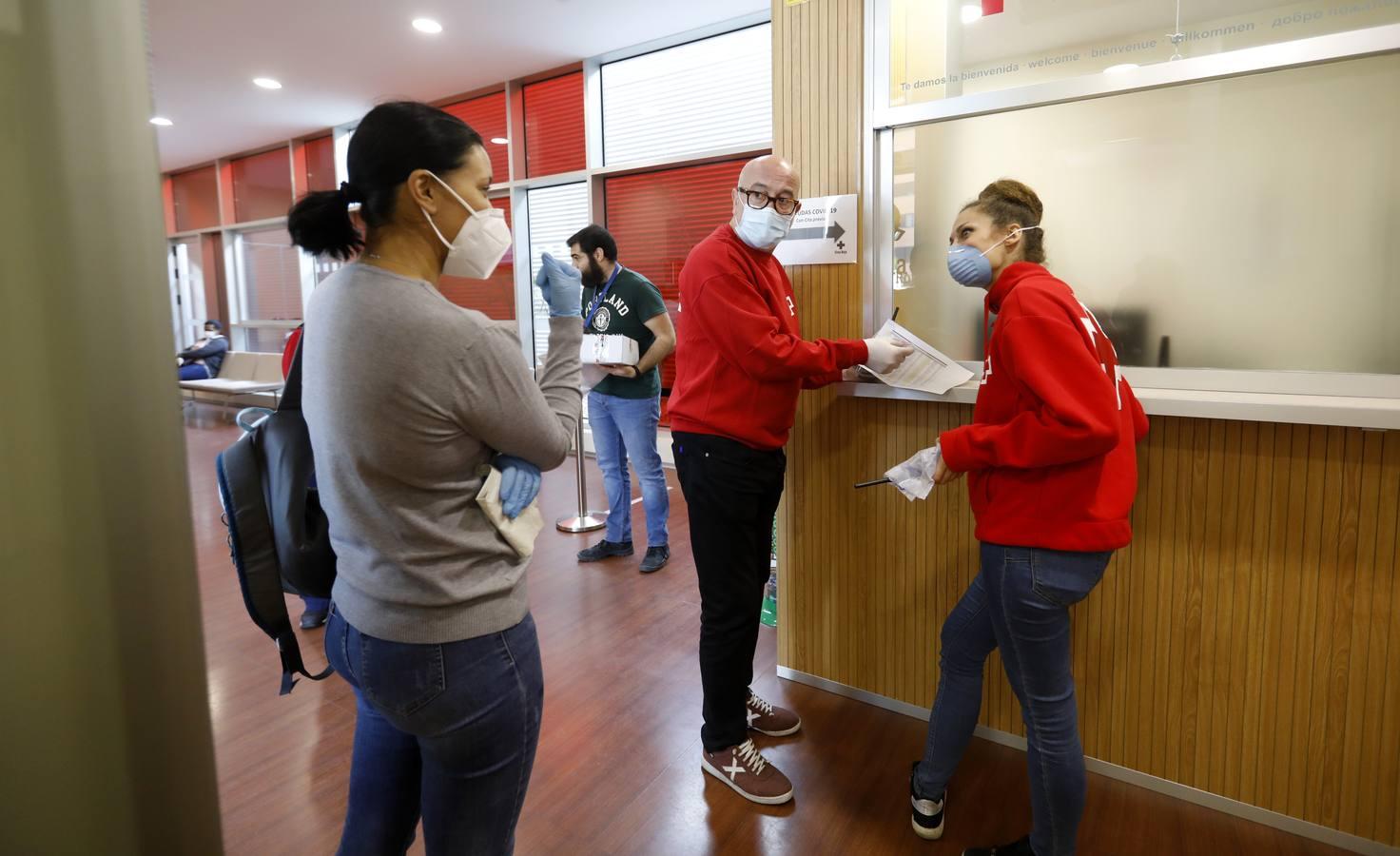 El reparto de vales de alimentos de Cruz Roja de Córdoba, en imágenes