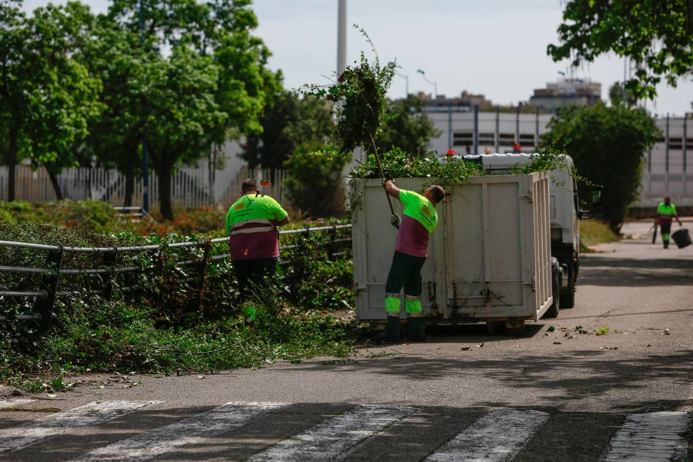 La Isla de La Cartuja en absoluta soledad