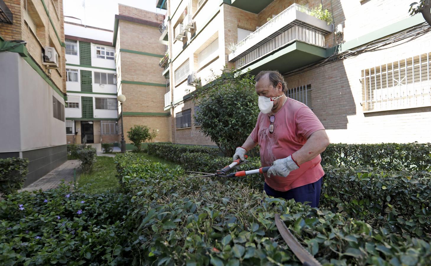 La crisis del coronavirus en el Parque Cruz Conde de Córdoba, en imágenes