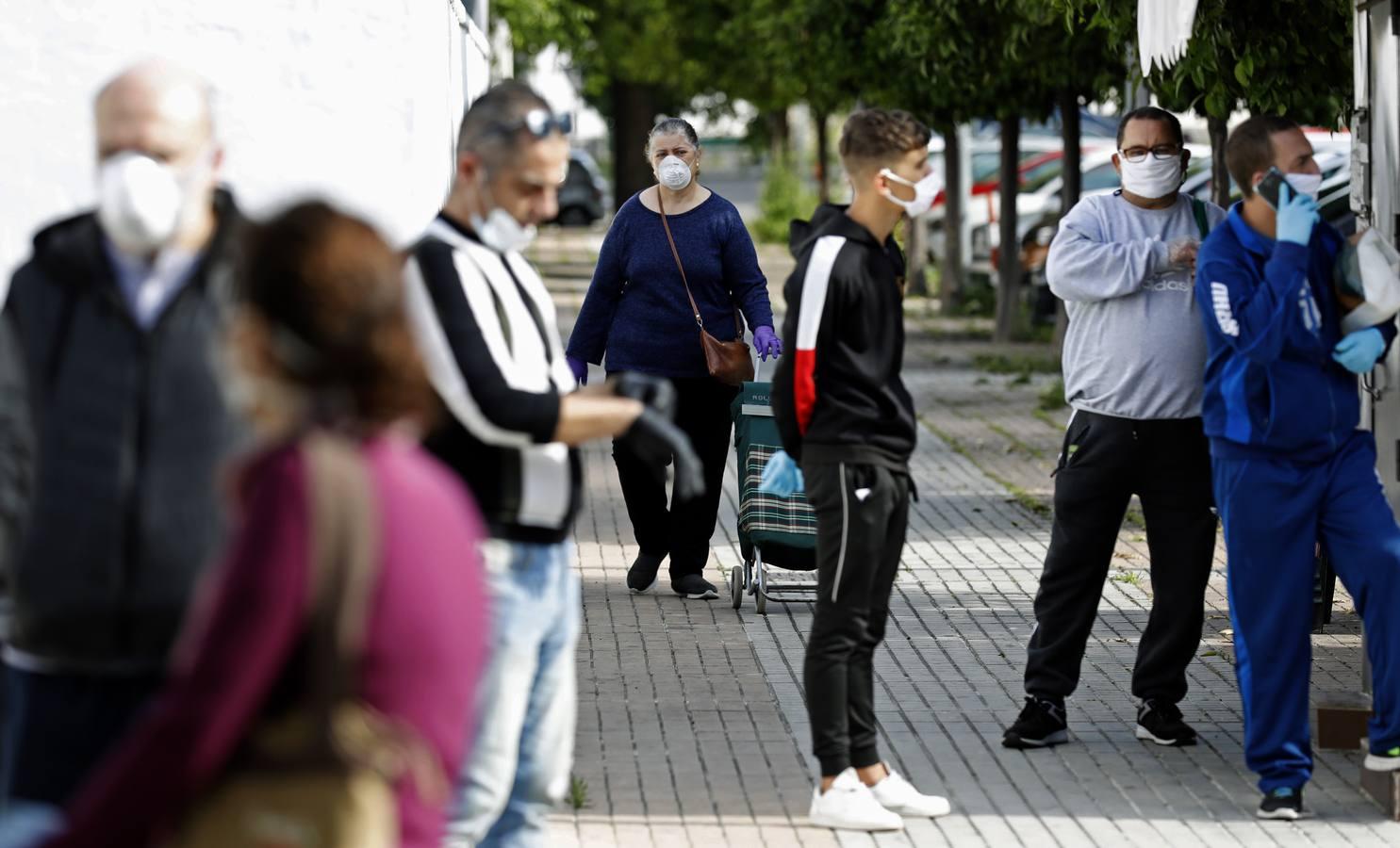 El reparto de comida de &quot;Todos por Córdoba&quot;, en imágenes