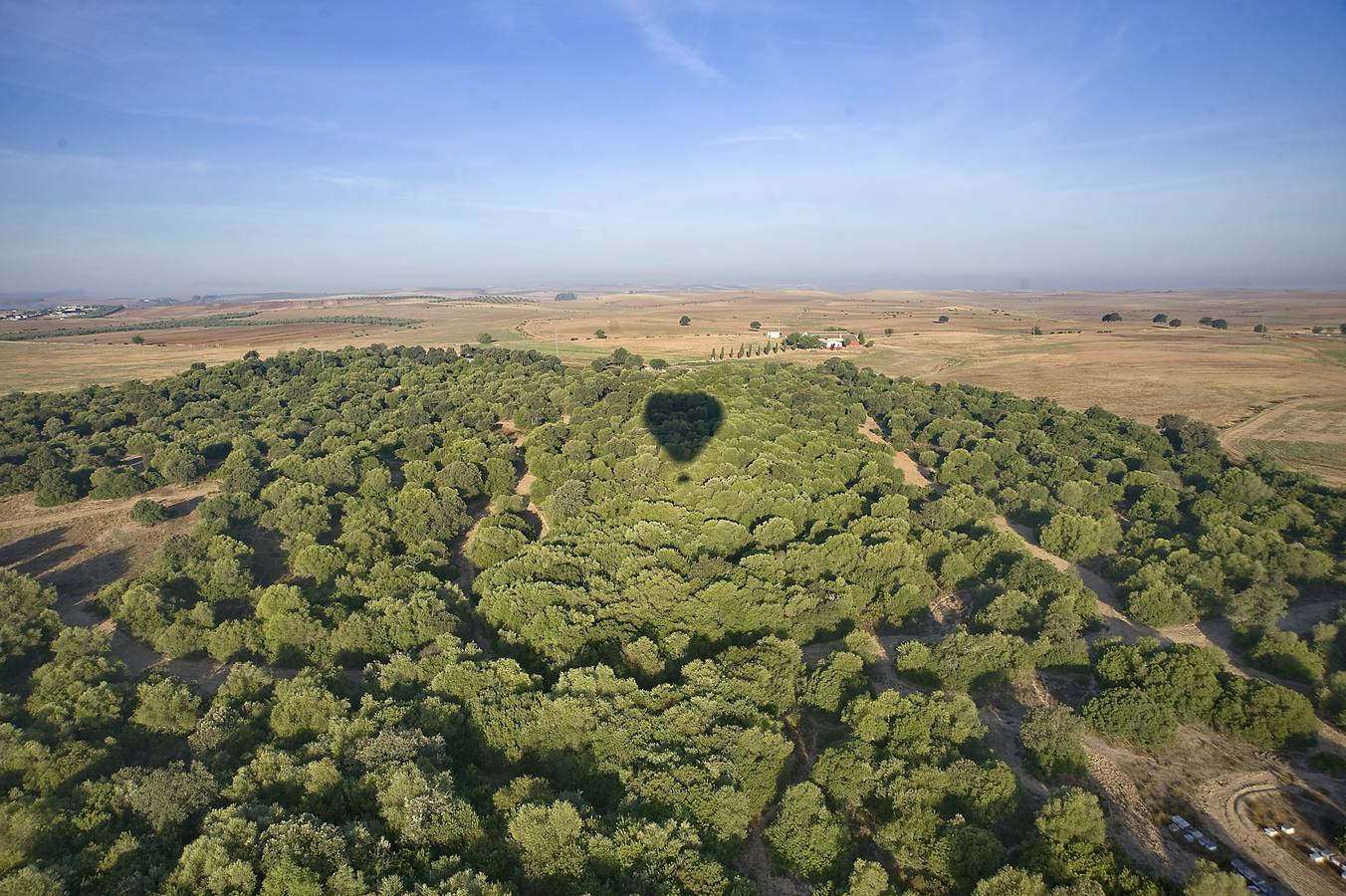 Aniversario del desastre ecológico de Aznalcóllar