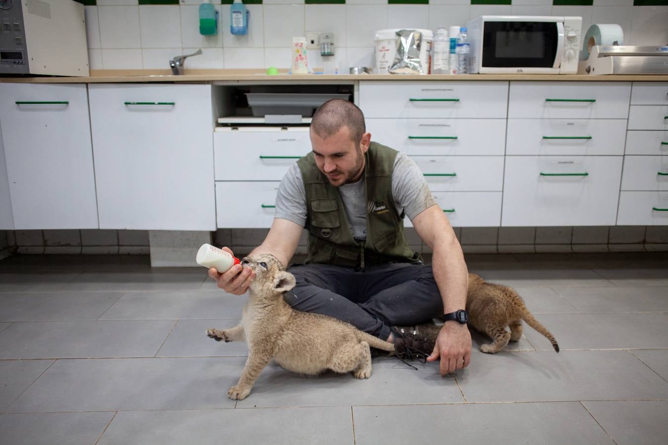 La crisis del coronavirus pone en jaque al centro de animales de Castellar de la Frontera