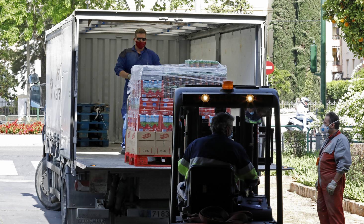 El trabajo del Banco de Alimentos de Córdoba, en imágenes