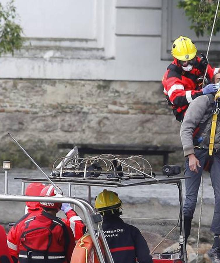 Los bomberos rescatan a un hombre en el puente de Triana