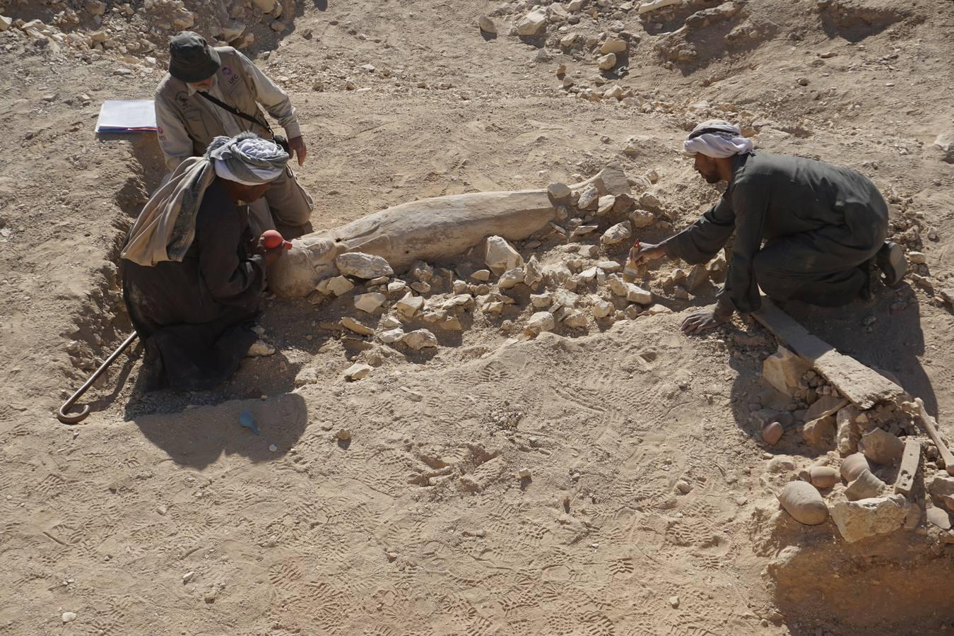 En imágenes, los hallazgos realizados por investigadores sevillanos en Egipto