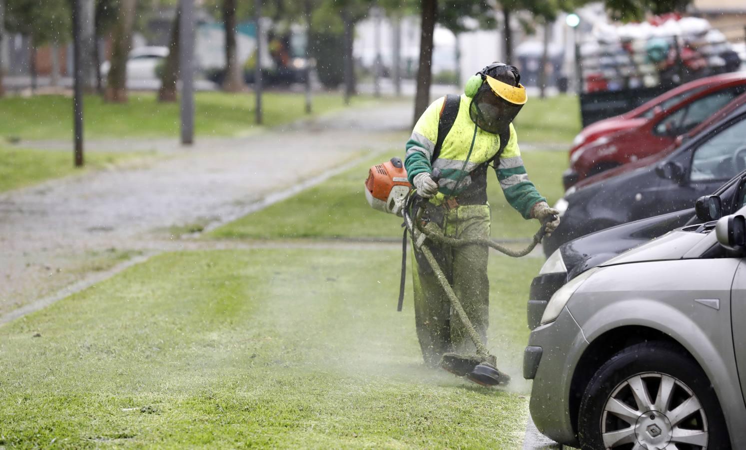 Coronavirus en Córdoba: Así vive el confinamiento el barrio de Moreras