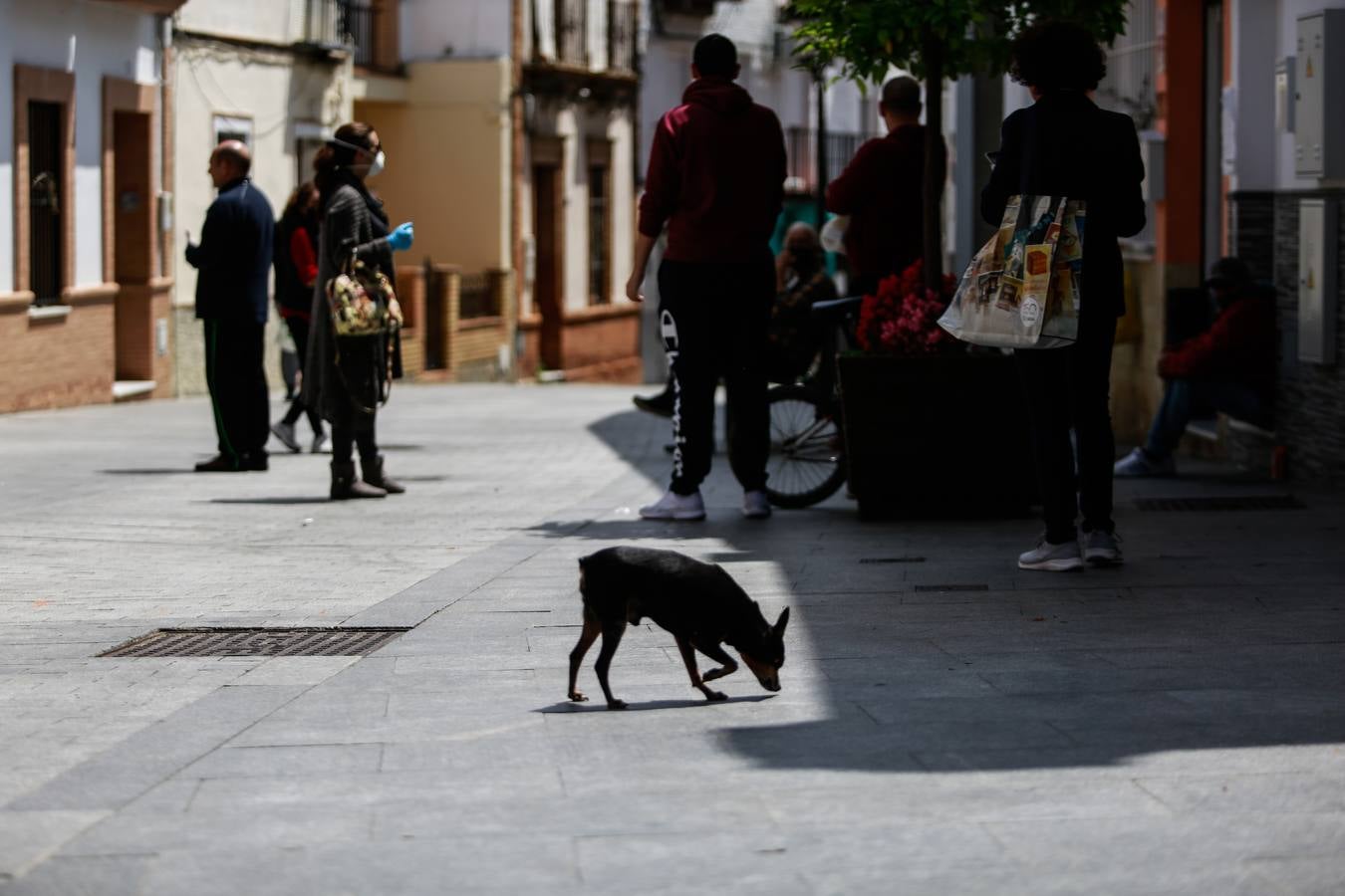 Coronavirus en Sevilla: Gines, tras más de 50 días de confinamiento