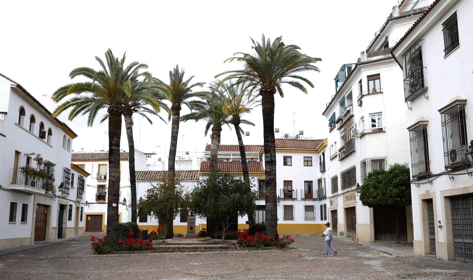 Las de Cruces de Córdoba huérfanas en el Mayo festivo, en imágenes