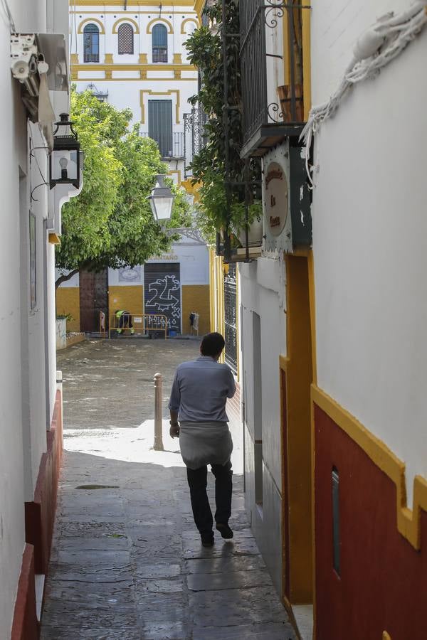 «Desescalada» en Sevilla: zonas monumentales en las que es imposible el distanciamiento social