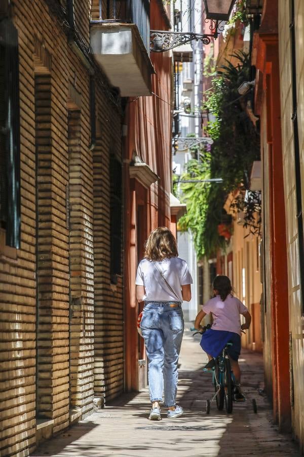 «Desescalada» en Sevilla: zonas monumentales en las que es imposible el distanciamiento social