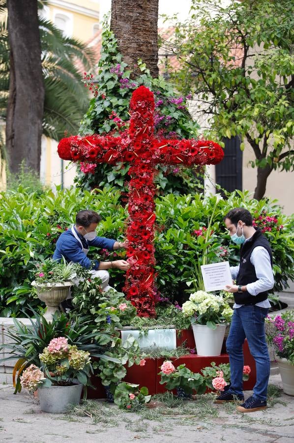 En imágenes, cómo celebra Córdoba las Cruces pese al coronavirus