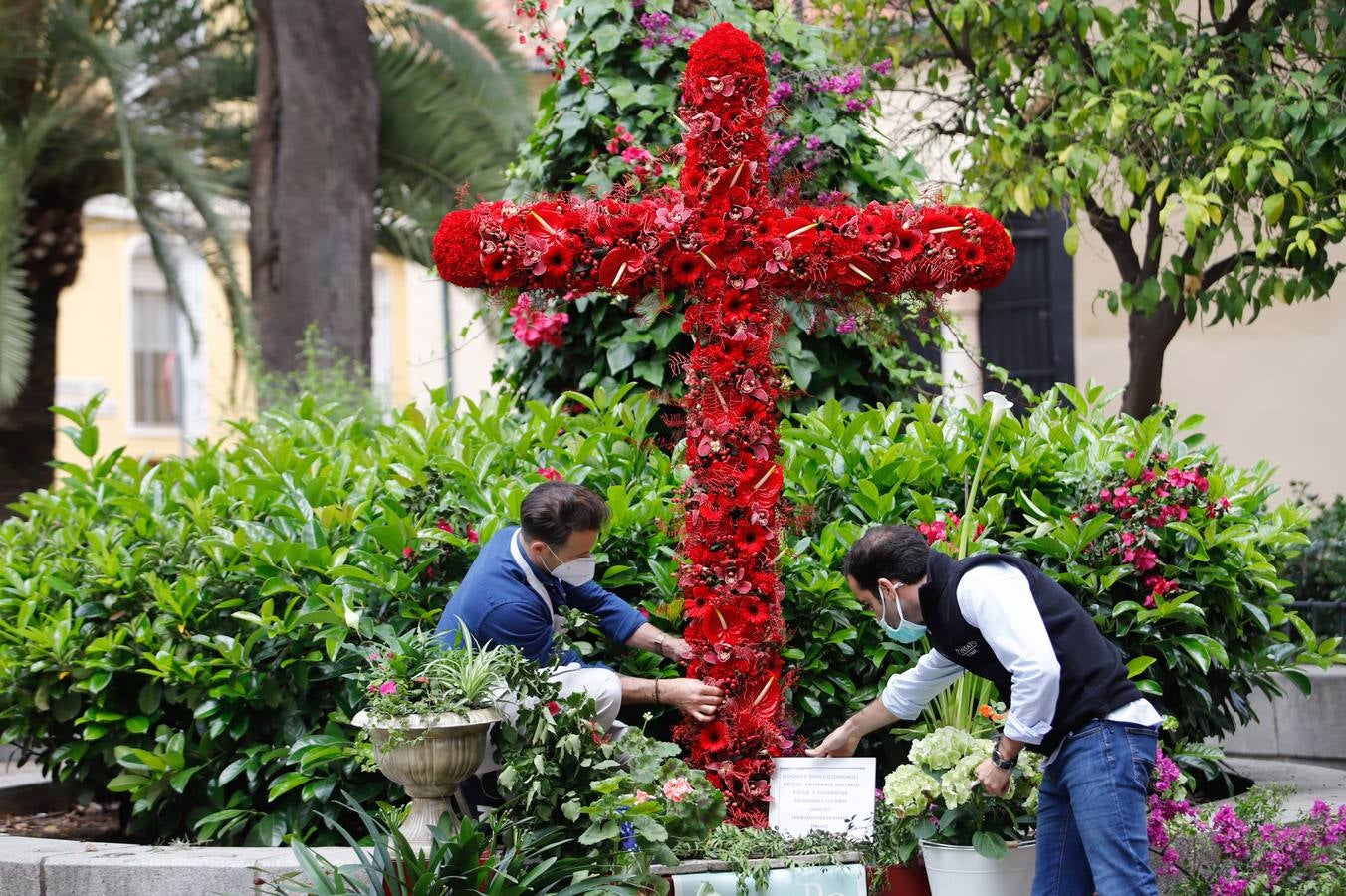 En imágenes, cómo celebra Córdoba las Cruces pese al coronavirus