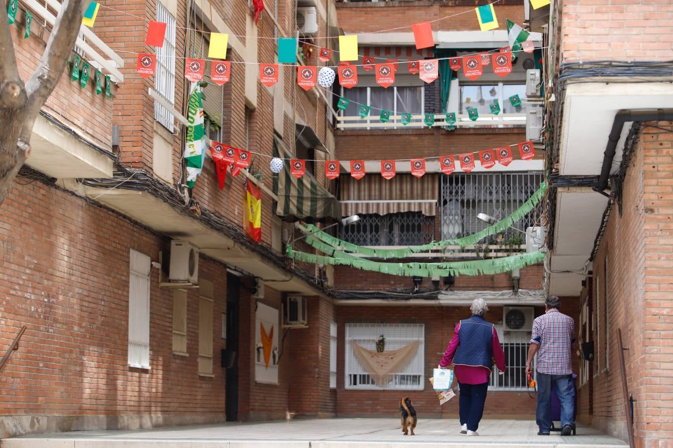 En imágenes, cómo celebra Córdoba las Cruces pese al coronavirus