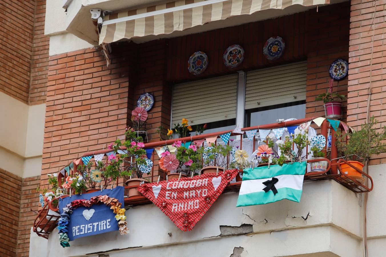 En imágenes, cómo celebra Córdoba las Cruces pese al coronavirus