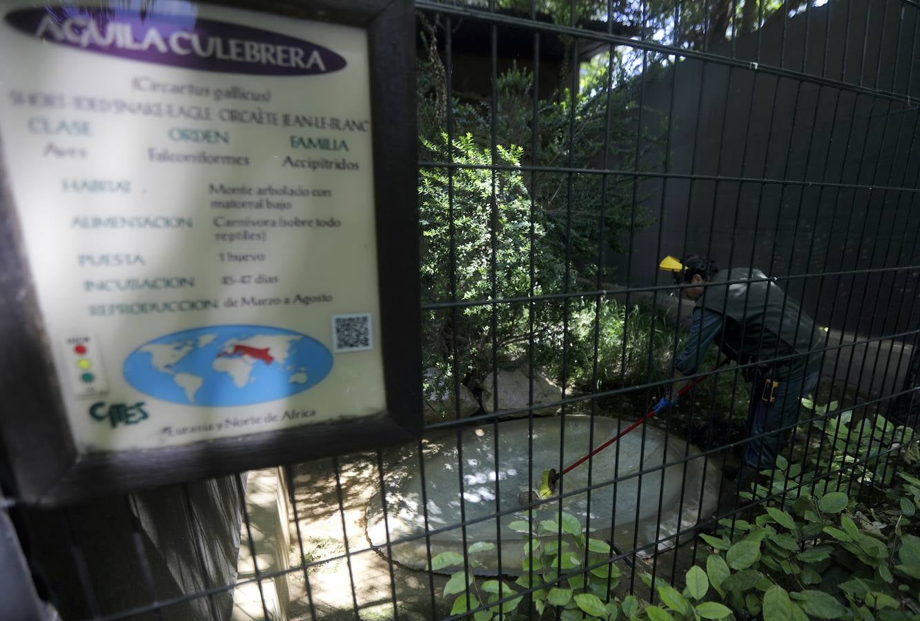 Fotos: El zoo de Jerez en los tiempos del coronavirus