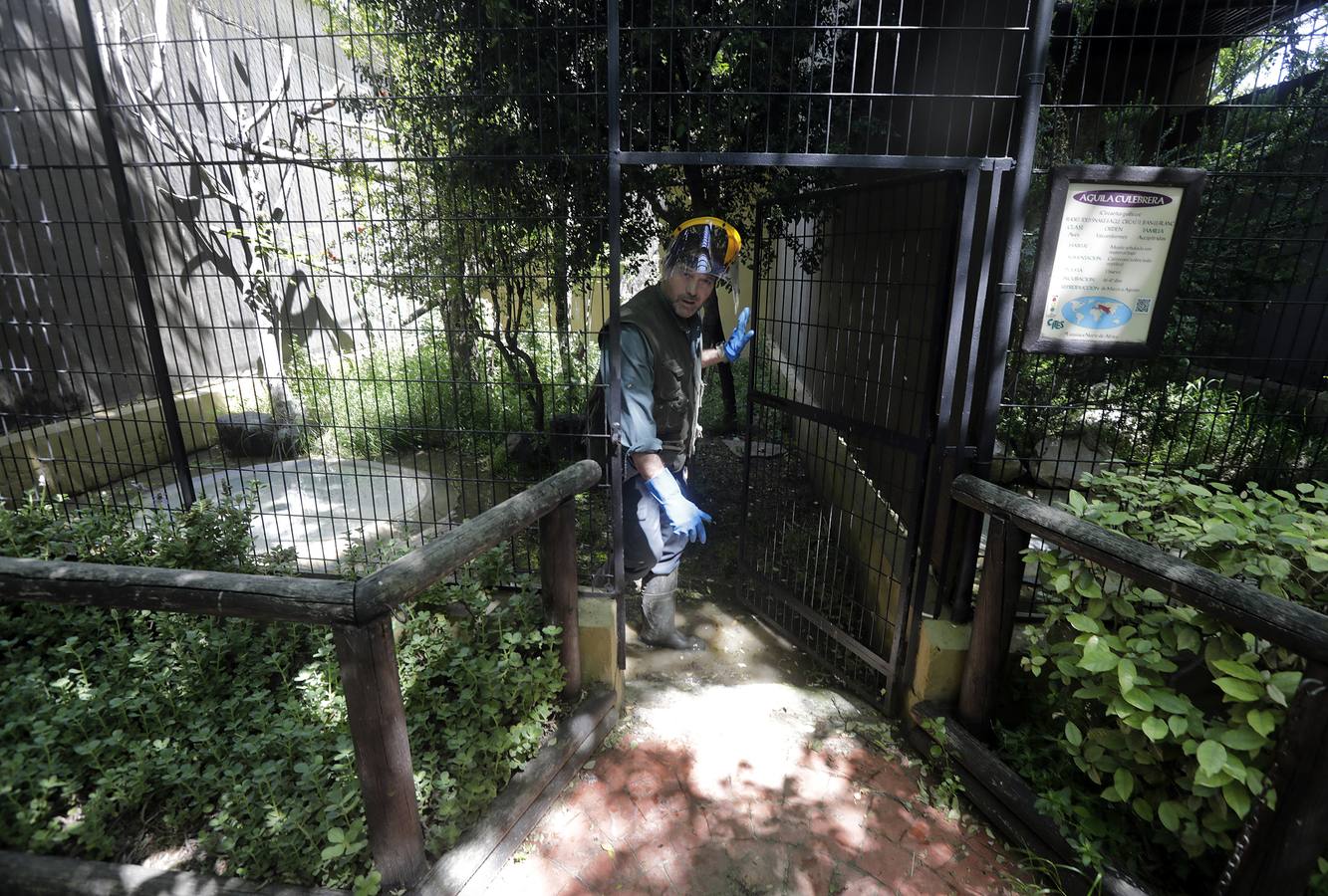 Fotos: El zoo de Jerez en los tiempos del coronavirus