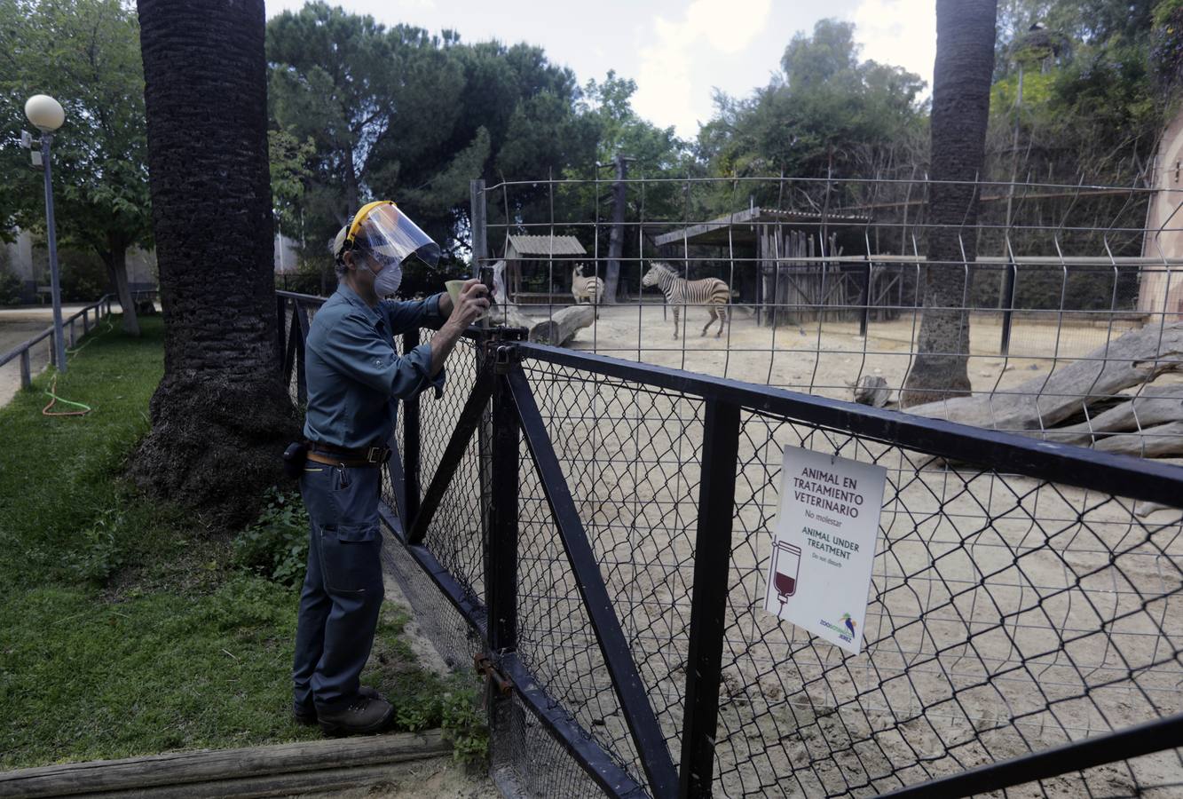 Fotos: El zoo de Jerez en los tiempos del coronavirus