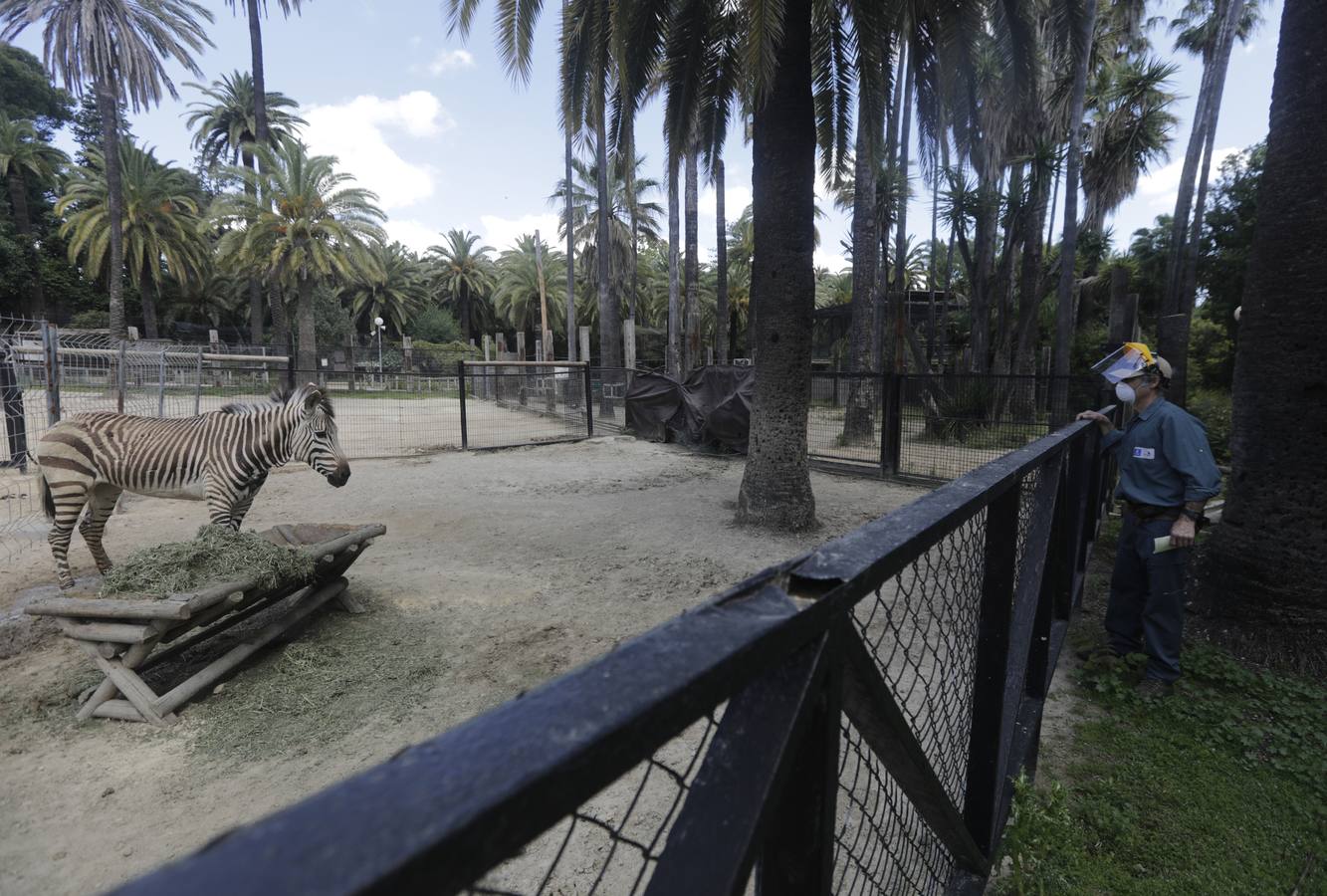 Fotos: El zoo de Jerez en los tiempos del coronavirus