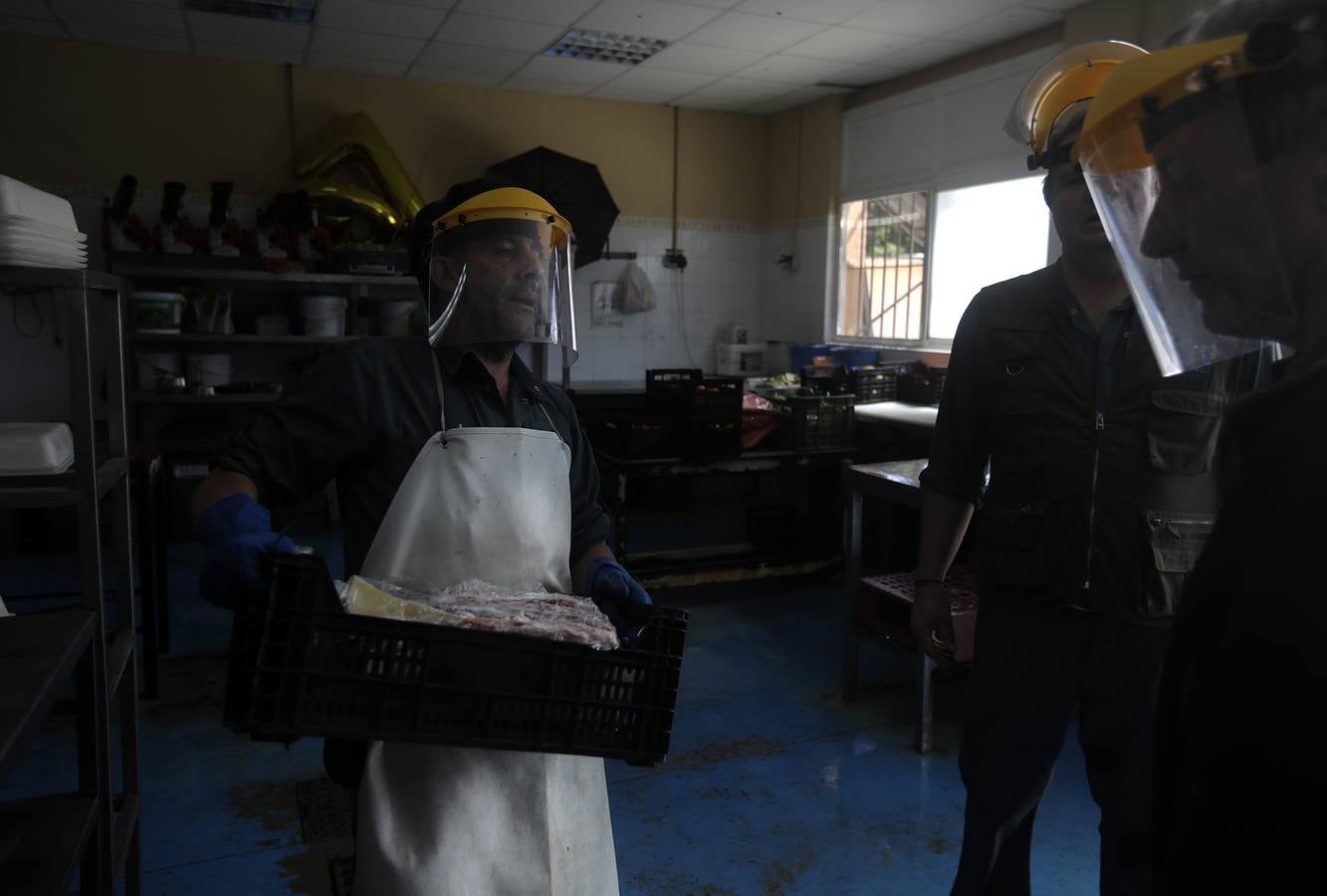 Fotos: El zoo de Jerez en los tiempos del coronavirus