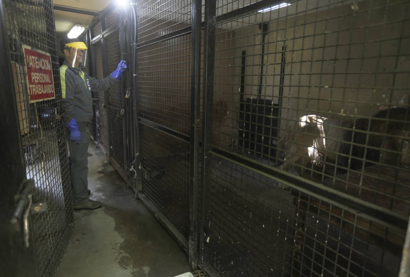 Fotos: El zoo de Jerez en los tiempos del coronavirus