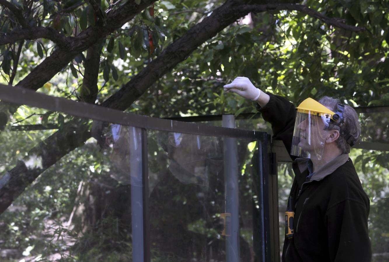 Fotos: El zoo de Jerez en los tiempos del coronavirus