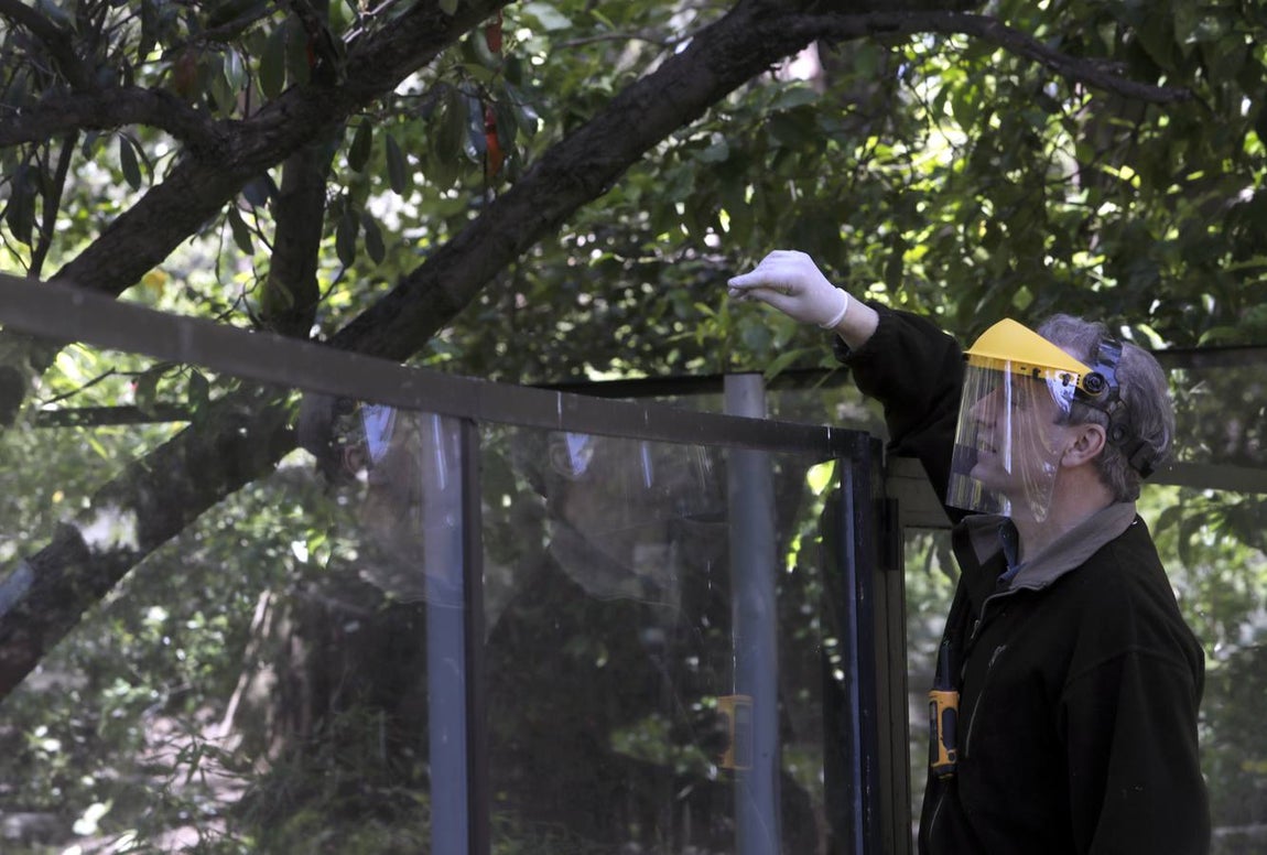 Fotos: El zoo de Jerez en los tiempos del coronavirus