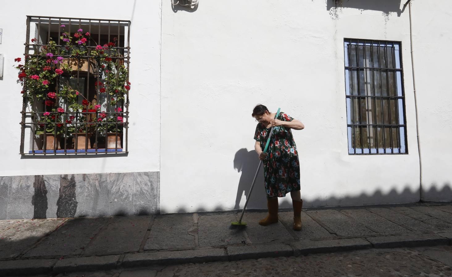 La quietud del Alcázar Viejo de Córdoba, en imágenes