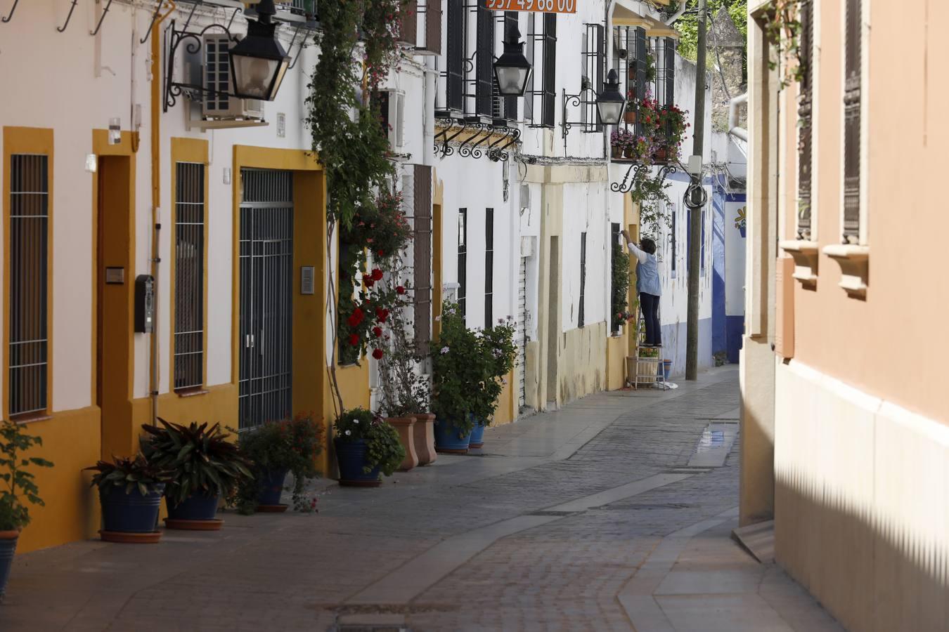 La quietud del Alcázar Viejo de Córdoba, en imágenes